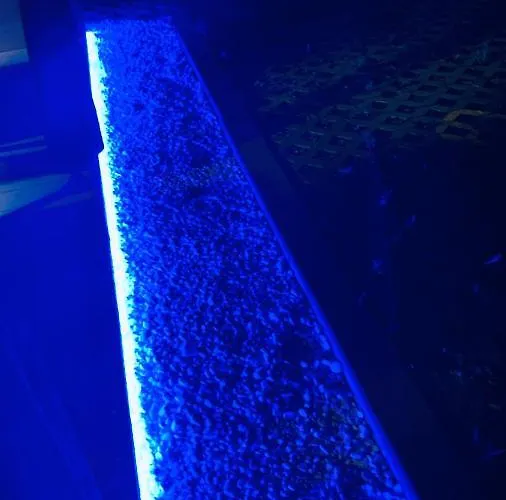 свети йоан *