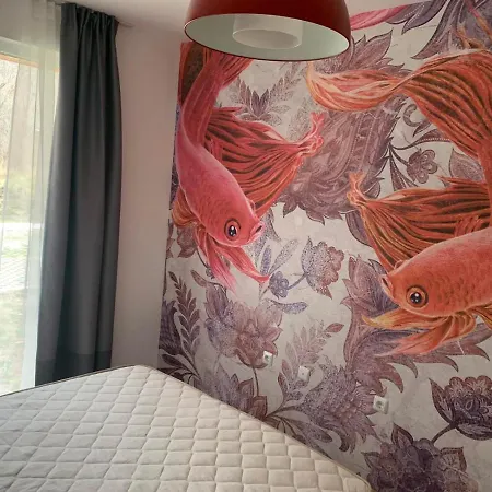 свети йоан סוזופול